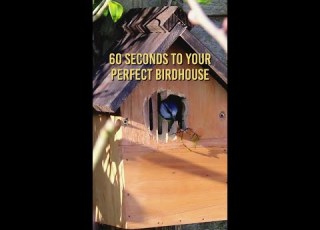 خانه پرنده ای ایده آل برای حیاط خلوت خود بسازید