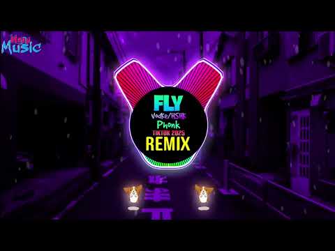 VodKe HSHK FLY PHONK Remix Tiktok Douyin 2025 DJ抖音热播版