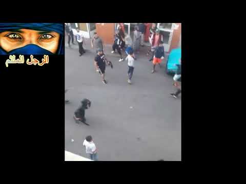 Mafia Tanger Morocco