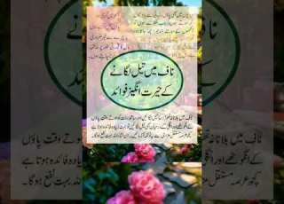 Naaf M Tail Lgany Ka Faida Allah Quotes Motivation Duet Asmara Honey