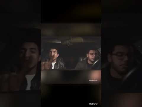 مهرجان لاء لاء