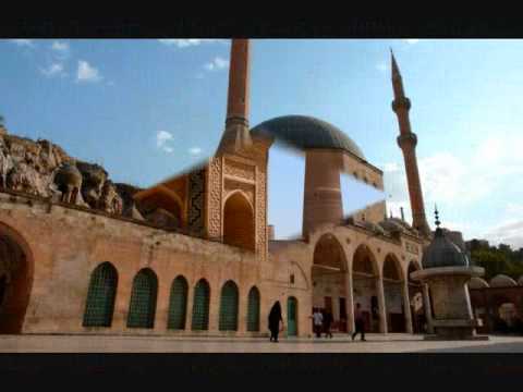 ما تيسر من سورتي الشورى والحشر سيد متولي عبد العال ما تيسر من سورتي الشورى والحشر سيد متولي عبد العال