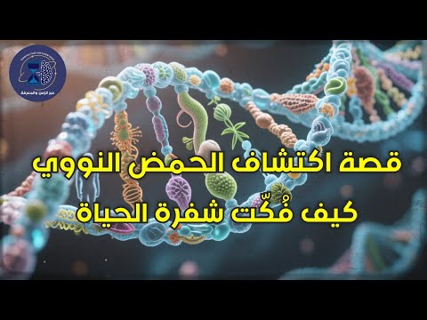 قصة اكتشاف الحمض النووي كيف ف ك ت شفرة الحياة