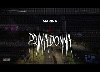 Marina Primadonna Slowed Reverb Lyrics