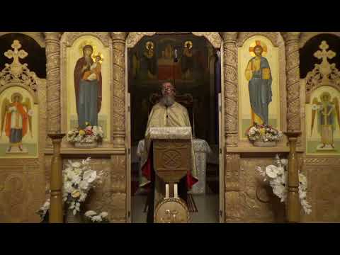 Taximetrista și Domnișoara Cu Opt Avorturi Pr Dan Popovici Taximetrista și Domnișoara Cu Opt Avorturi Pr Dan Popovici