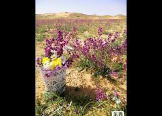 ١٨ فبراير ٢٠١٩