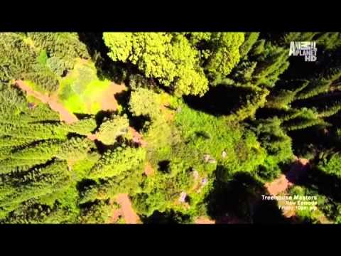 Redwood Kings Animal Planet