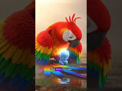 قصة طفل قوس المطر وطفل العاصفة التي أبكت القلوب