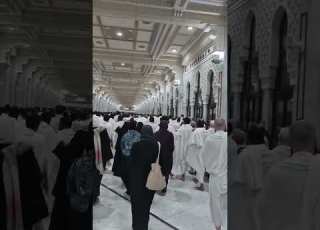 بتقوى الإله نجا من نجا