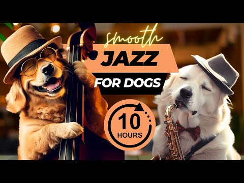 Relaxing Jazz Music For Dogs And Puppies 10 Hours Relaxing Jazz Music For Dogs And Puppies 10 Hours