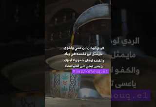 الردي لو كان ابن عمي