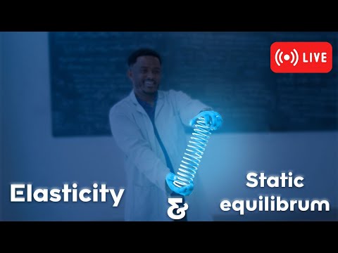 After Break Elasticity And Static Equilibrium