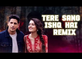 TERE SANG ISHQ HUA REMIX DJ SAMITH