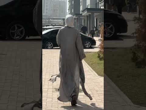 Https Www Instagram Com Reel DHNSHBoNhwp Igsh BnUxbHA2OGMybnR1