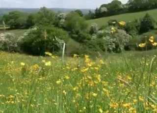  Lazy Countryside Margaret Whiting