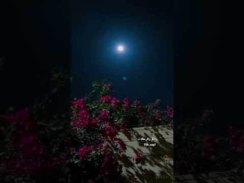 حقروص سلطان الخليفه بعيد عيد الحب اباركلك اغاني العيد اغاني بدون موسيقى حقروص سلطان الخليفه بعيد عيد الحب اباركلك اغاني العيد اغاني بدون موسيقى