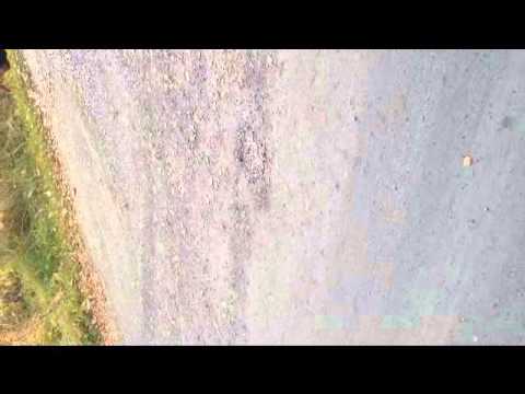 فاطمه زلزال اديني تلفون يا لذيذ