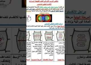  ملخص درس1 في العلوم الطبيعية سنة أولى ثانوي جذع مشترك علوم وتكنولوجيا