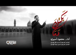 بكتك دما محمود أسيري