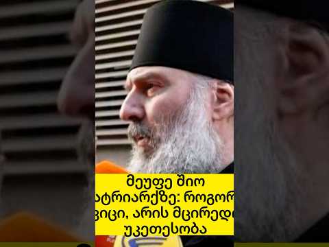 მეუფე შიო პატრიარქზე