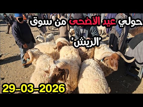 Live From The Sunday Market In The City Of Errachidia Midelt Region 29 03 2026 The Price Of Sh