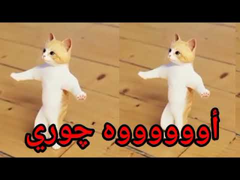 اغنية باسم جوري الحلوة الزينة سطلانة السعودية الكويت الامارات قطر عمان البحرين تركيا دبي ابوظبي