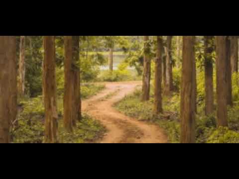 Sebene Ya Nyanda Mariganya Ft Ngelela Mwanasamo Ft Bahati Bugalama X Magodi Ze Doni Limbu Luchagula