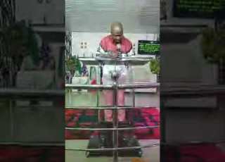 Live Highlight