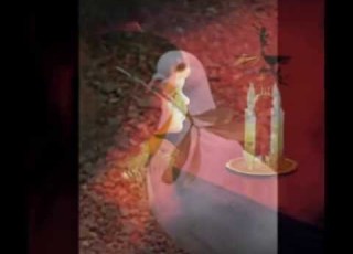 יונה מצאה בו מנוח אסף נוה שלום