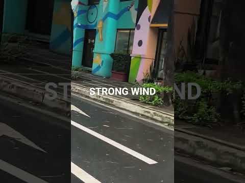 STARKER WIND YONON OFFIZIELL FYP HIGHLIGHT