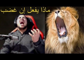  أغضبوه بالطائرة فكان الرد قاسيا قسام حمد ببجي