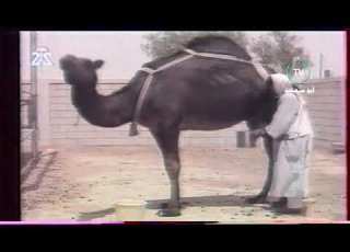  برنامج سعودي القناة الثانية تسجيل ١٤١٤ هـ ١٩٩٤ هـ