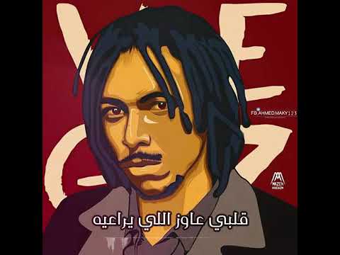 قطرى الاسود ويجز