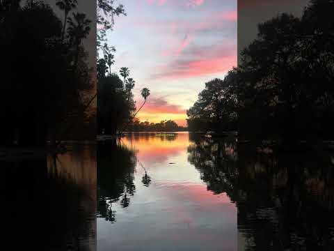 Something To Soothe The System Ambientmusic Music Love Nature