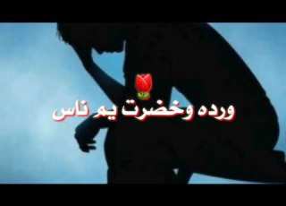  شفت الضيم