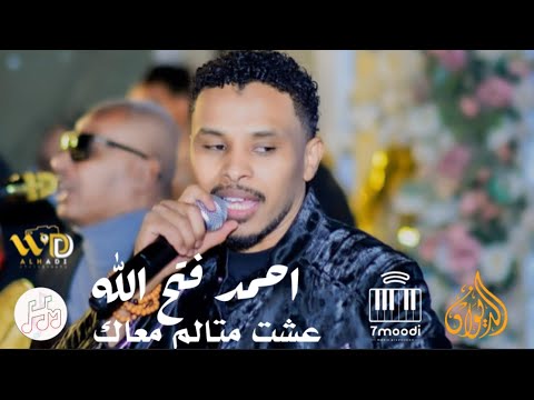 احمد فتح الله عشت متألم معاك حفل الديوان القاهرة 2025