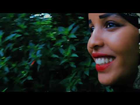 Diriirsaa Elemoo Fi Faaxumaa Ahmaddiin Yaa Ilili 1080P HD Diriirsaa Elemoo Fi Faaxumaa Ahmaddiin Yaa Ilili 1080P HD