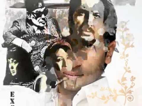 بقرة حاحا النطاحة احمد سعد