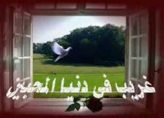 اعيدى يا طيور واسمعينا