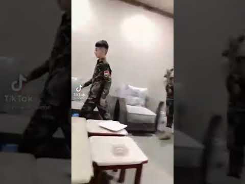 انا الاسره الامريكي