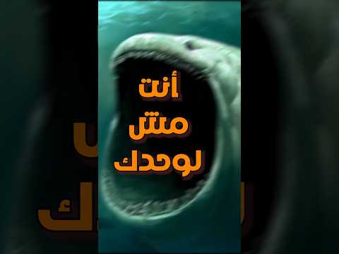 The World S Most Mysterious Sound The Bloop Scary Scary Terrifyingfacts Ocean