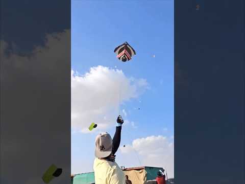 Lahore Basant Festival Is Now Celebrated Around The Globe AlAinBasant