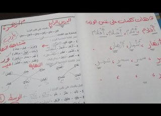الدرس الرابع كلمات على نفس الوزن من مذكرة النحو للصف الثاني الإبتدائي متفوتيش المراجعات لابنك هتندمي