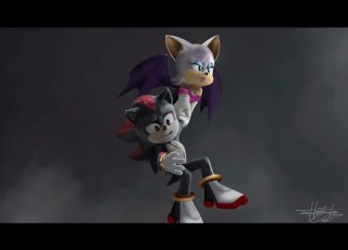  Shadow And Rouge In Sonic 3 Speededit