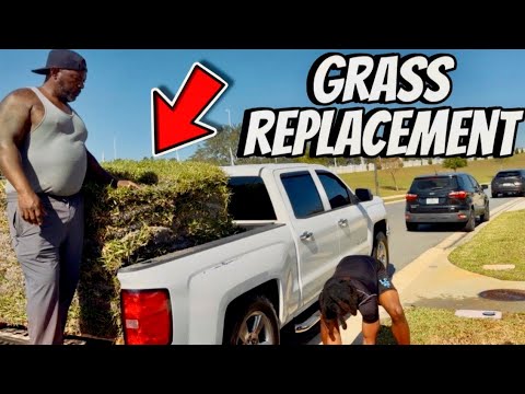 PAPA E REVAMPED OUT YARD GOOD VIBES PAPA E REVAMPED OUT YARD GOOD VIBES