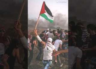  مهند خلف فلسطيني يا معلم