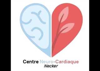 Neurodevelopment And CHD The Beginnings In Europe BEA LATAL