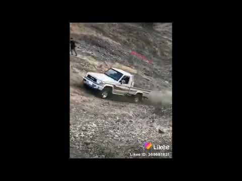 نسنس يانسيم انسامي