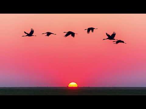 Jan Martin Mate Rial Out Of Reach Roald Velden Mix Minded Music Jan Martin Mate Rial Out Of Reach Roald Velden Mix Minded Music