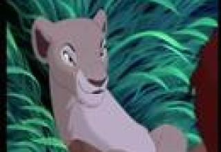 Lion King Can You Feel The Love Tonight